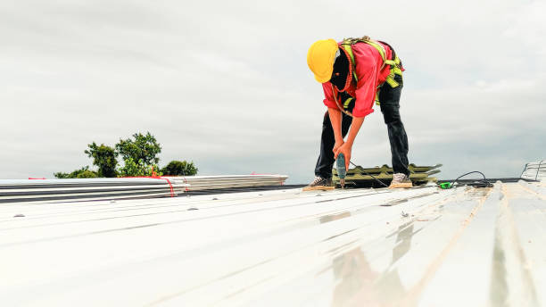 Best Sheet Metal Roofing  in Fairbanks, AK